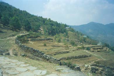 Weg, Wald und Reisterrassen