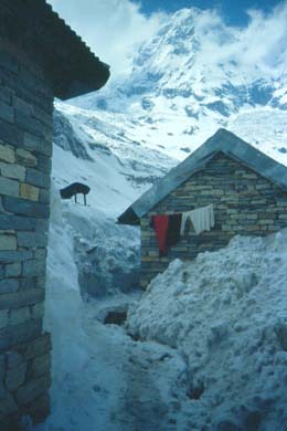 Lodge, bis zum Dach im Schnee