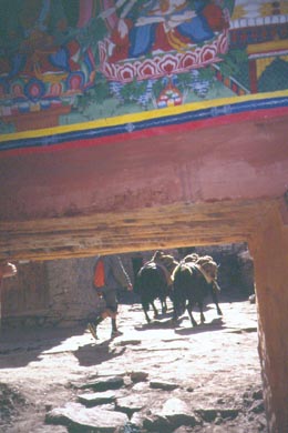 innen farbige Zeichnungen, auen die Beine von Lastentieren