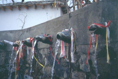 Kuhkpfe aus Metall trpfeln Wasser