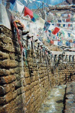 pltschernde Kuhkpfe und Gebetsfahnen