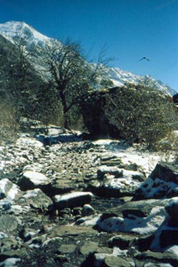 frischer Schnee auf dem Wanderweg