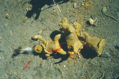 zerstörte Kult-Figürchen auf dem Boden