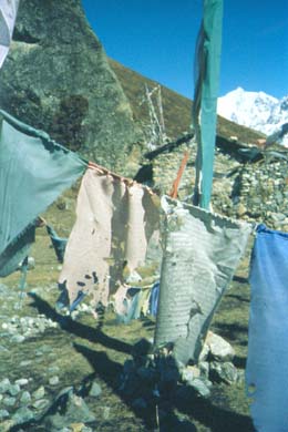 zerfledderte Gebetsfahnen