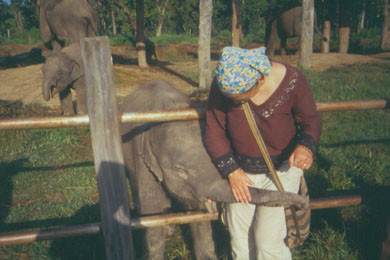 die Autorin tätschelt ein Elefantenbaby