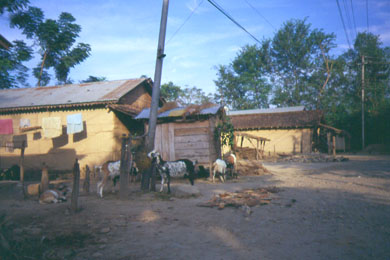 Dorf mit gelben Lehmhäusern