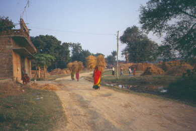 Frauen tragen Heuballen